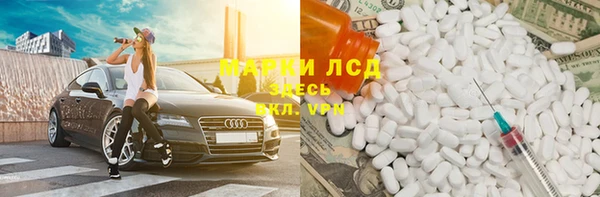 гашик Алзамай
