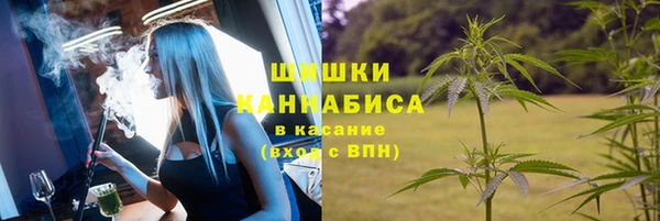 шишки Алексин