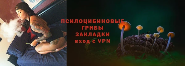 гашик Алзамай