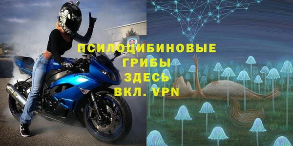 гашик Алзамай