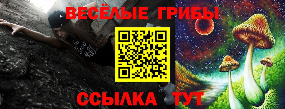 Галлюциногенные грибы мицелий Белебей