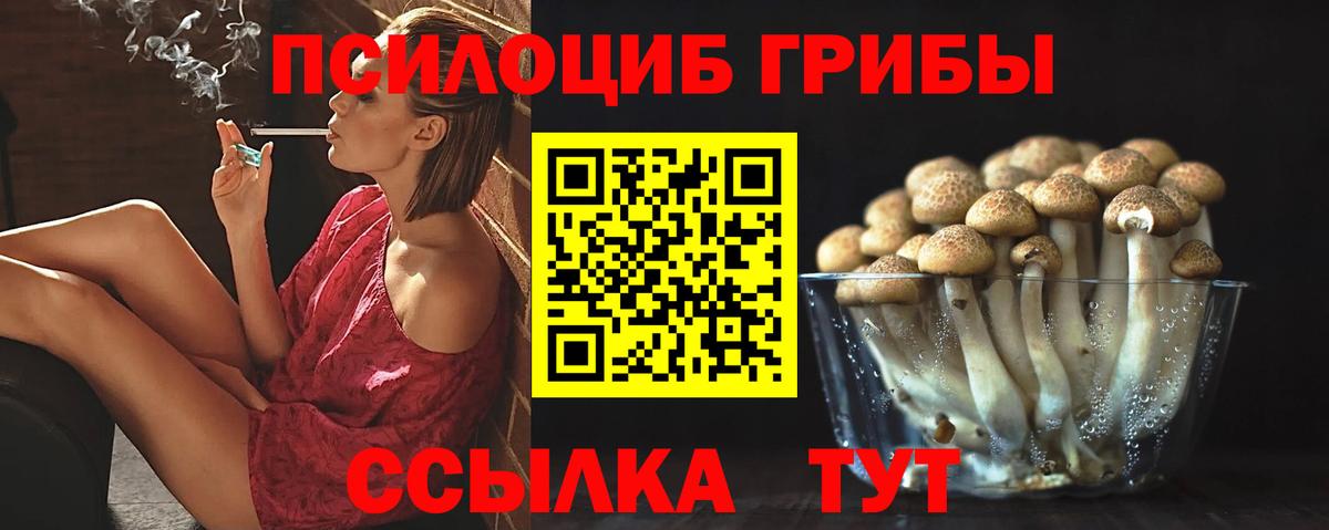 как найти закладки  Псилоцибиновые грибы GOLDEN TEACHER  Вход с VPN  Галлюциногенные грибы Cubensis  Белебей 